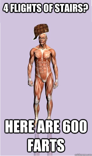 4 flights of stairs? here are 600 farts - 4 flights of stairs? here are 600 farts  Misc