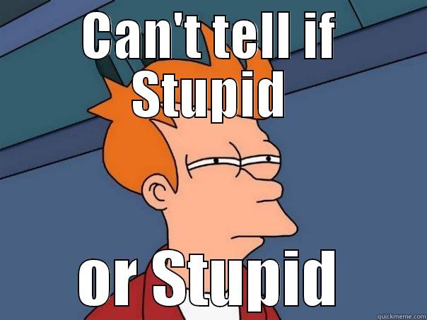 CAN'T TELL IF STUPID OR STUPID Futurama Fry