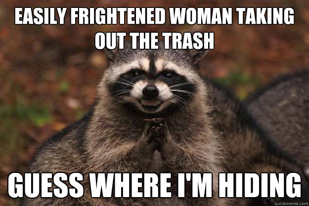 Easily frightened woman taking out the trash guess where i'm hiding  Evil Plotting Raccoon