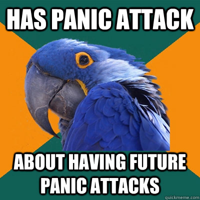 Has Panic Attack About having future panic attacks  Paranoid Parrot