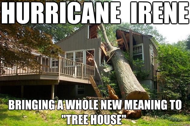 hurricane  irene Bringing a whole new meaning to 
                         