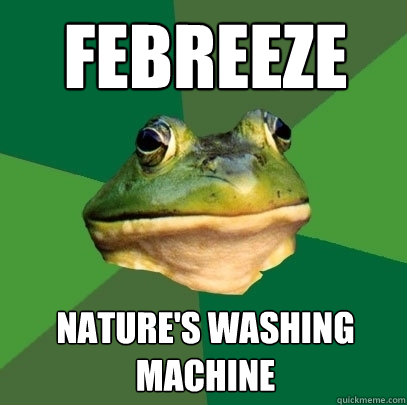 Febreeze Nature's Washing Machine  Foul Bachelor Frog