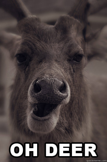    Oh deer