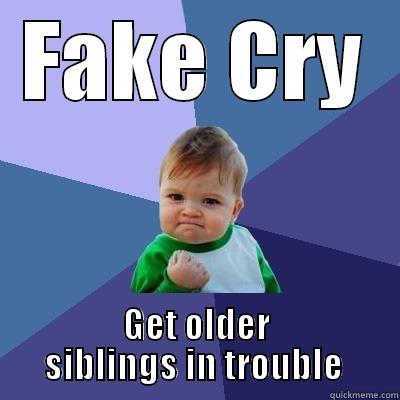 Little siblings. - FAKE CRY GET OLDER SIBLINGS IN TROUBLE  Success Kid