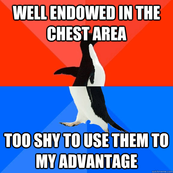 well endowed in the chest area too shy to use them to my advantage  Socially Awesome Awkward Penguin