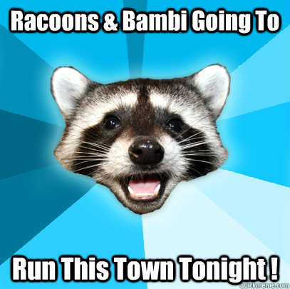 Racoons & Bambi Going To  Run This Town Tonight !  Lame Pun Coon