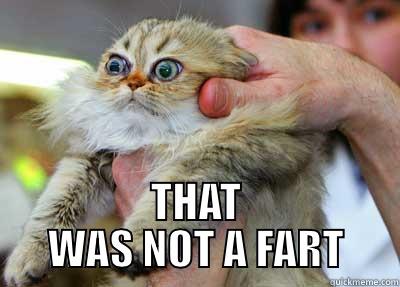 Untrustworthy Farts -  THAT WAS NOT A FART Misc