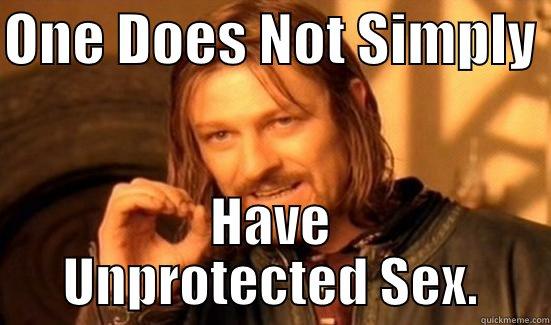 ONE DOES NOT SIMPLY  HAVE UNPROTECTED SEX. Boromir