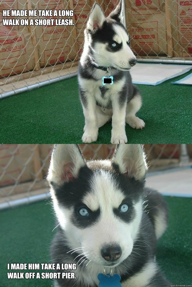 He made me take a long walk on a short leash. I made him take a long walk off a short pier. - He made me take a long walk on a short leash. I made him take a long walk off a short pier.  Insanity puppy