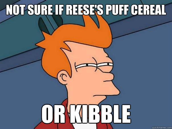 Not sure if Reese's Puff Cereal Or Kibble - Not sure if Reese's Puff Cereal Or Kibble  Futurama Fry
