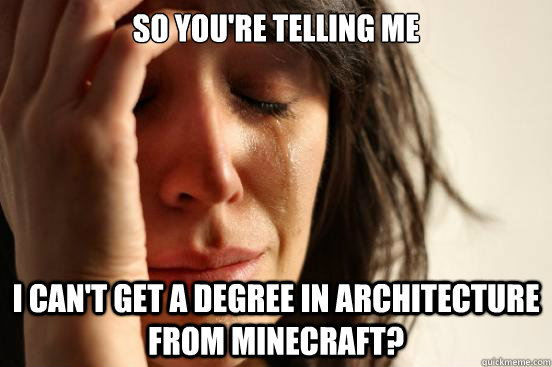 so you're telling me i can't get a degree in architecture  from minecraft?  First World Problems
