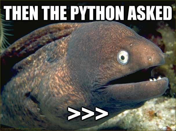 Then the python asked >>> - Then the python asked >>>  Bad Joke Eel