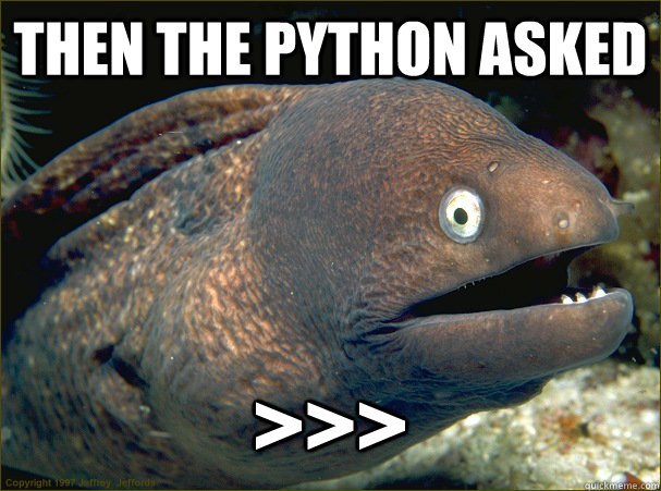 Then the python asked >>>  Bad Joke Eel