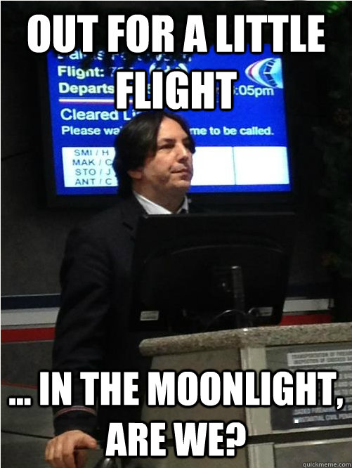 Out for a little flight ... in the moonlight, are we?   Air Snape