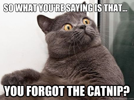 So what you're saying is that... You forgot the catnip? - So what you're saying is that... You forgot the catnip?  Astonished cat