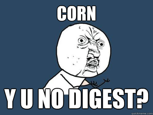corn y u no digest?  Y U No