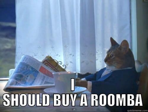 I SHOULD BUY ROOMBA -  I SHOULD BUY A ROOMBA The One Percent Cat