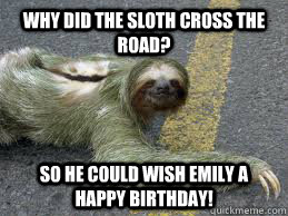 Why Did the sloth cross the road? So he could wish Emily a happy birthday!  Creepy Sloth