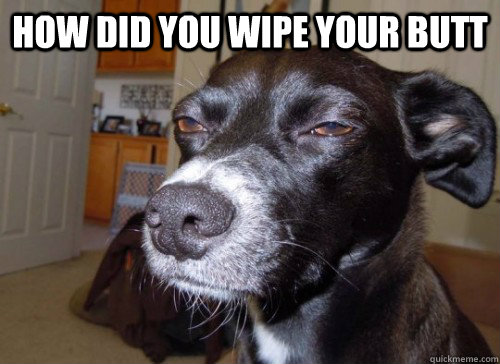 How did you wipe your butt  - How did you wipe your butt   Suspicious Dog