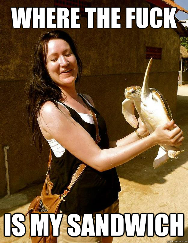 Where the fuck is my sandwich  Domestic Violence Turtle