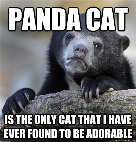Panda Cat Is the only cat that I have ever found to be adorable  Confession Bear