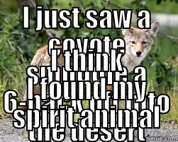 I JUST SAW A COYOTE SMUGGLE A 6-PACK OFF INTO THE DESERT I THINK I FOUND MY SPIRIT ANIMAL Misc