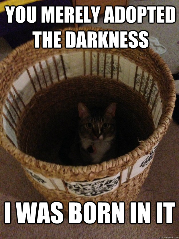 You merely adopted the darkness I was born in it - You merely adopted the darkness I was born in it  darkness cat