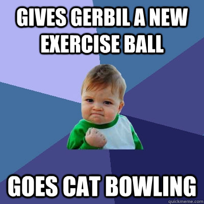 Gives gerbil a new exercise ball goes cat bowling  Success Kid