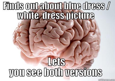 Good guy brain - FINDS OUT ABOUT BLUE DRESS / WHITE  DRESS PICTURE  LETS YOU SEE BOTH VERSIONS  Scumbag Brain