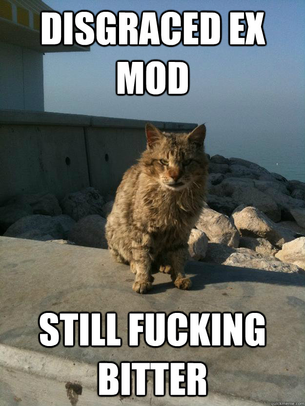 disgraced ex mod still fucking bitter  Bitter Cat