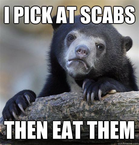 I pick at scabs Then eat them - I pick at scabs Then eat them  Confession Bear