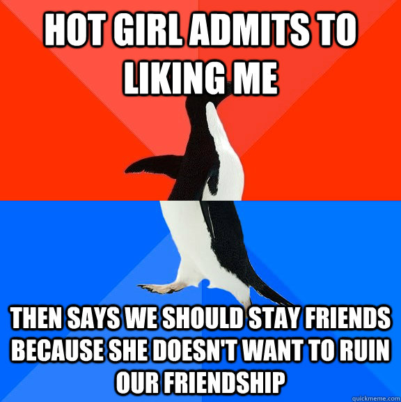 hot girl admits to liking me then says we should stay friends because she doesn't want to ruin our friendship  Socially Awesome Awkward Penguin