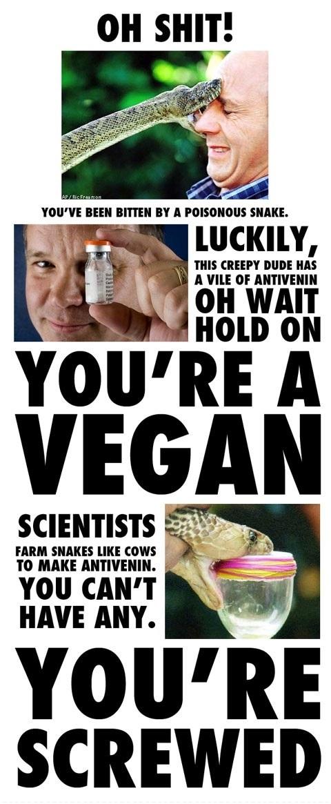 If you're a vegan you're screwed. -   Misc