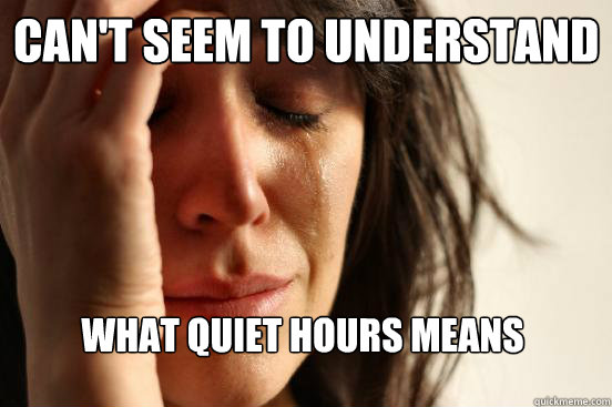 Can't seem to understand what quiet hours means  First World Problems