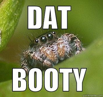 Dat booty spider - DAT BOOTY Misunderstood Spider