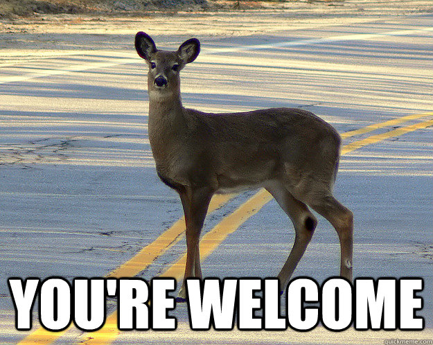  You're Welcome -  You're Welcome  scumbag deer