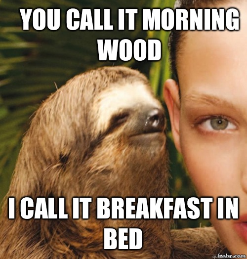 You call it morning wood I call it breakfast in bed  rape sloth