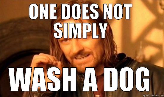 ONE DOES NOT SIMPLY WASH A DOG Boromir
