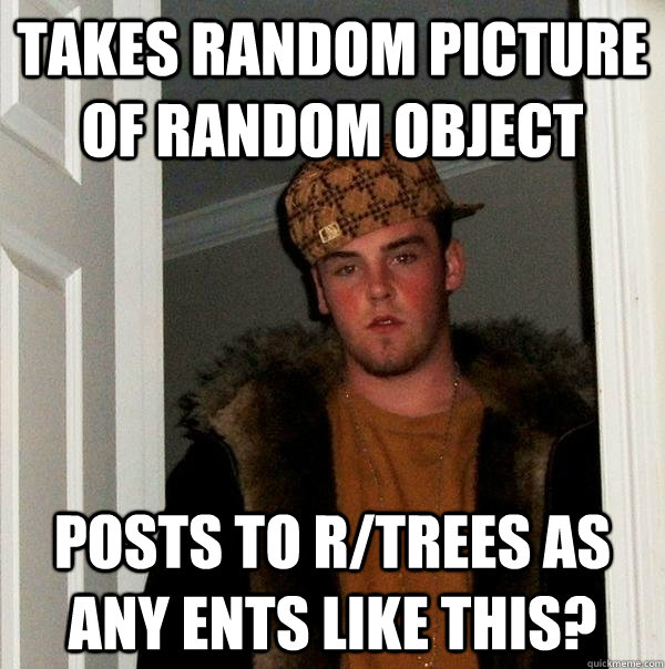 takes random picture of random object posts to r/trees as any ents like this? - takes random picture of random object posts to r/trees as any ents like this?  Scumbag Steve