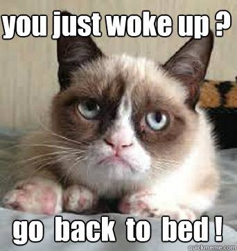 you just woke up ? go  back  to  bed ! - you just woke up ? go  back  to  bed !  cat bed