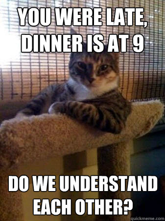 you were late, dinner is at 9 do we understand each other?  The Most Interesting Cat in the World