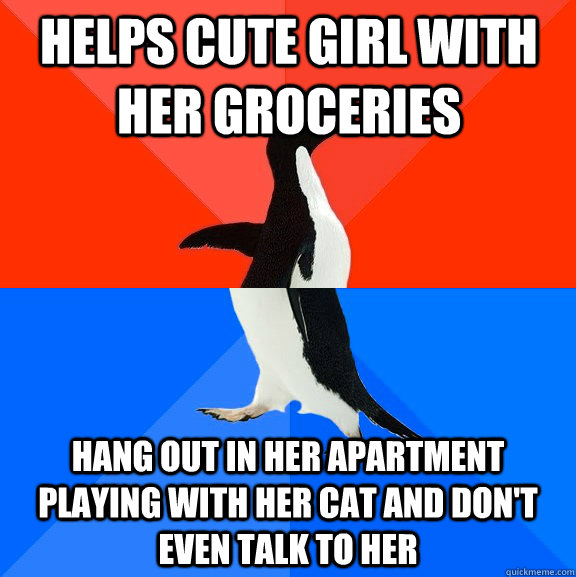 Helps cute girl with her groceries Hang out in her apartment playing with her cat and don't even talk to her  Socially Awesome Awkward Penguin