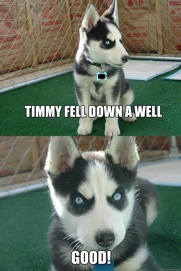 Timmy fell down a well GOOD!  Insanity puppy