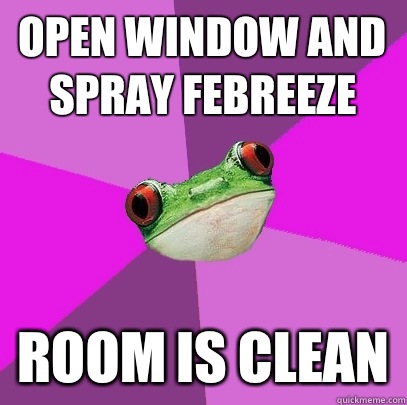 Open window and spray febreeze Room is clean  Foul Bachelorette Frog