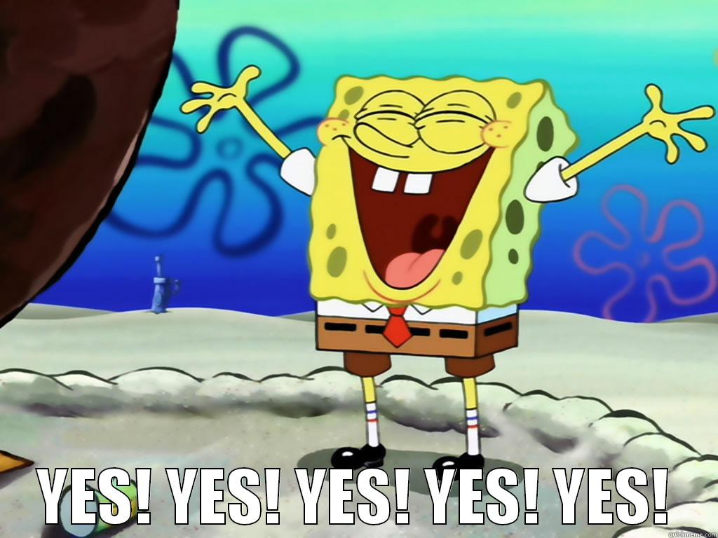  YES! YES! YES! YES! YES! Misc