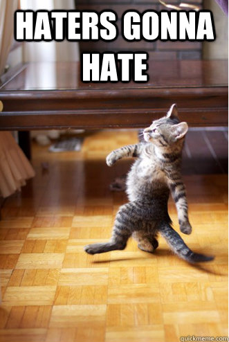 Haters Gonna Hate  - Haters Gonna Hate   Strutting Cat