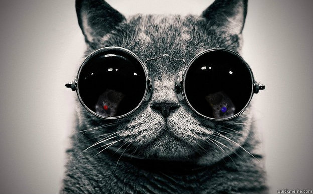   -    Cat morpheus plus paws