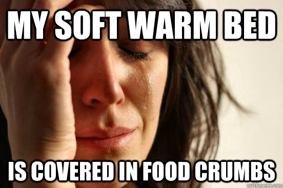 My soft warm bed is covered in food crumbs  First World Problems