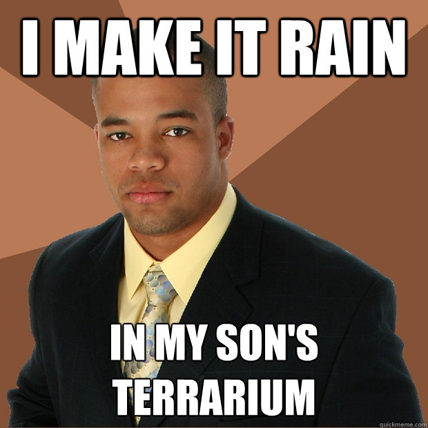 I Make it rain in my son's terrarium  Successful Black Man