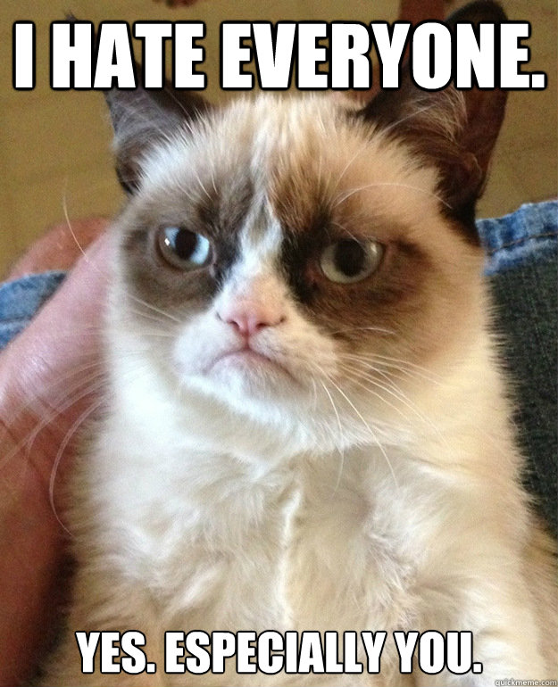 i hate everyone. yes. especially you.  grumpycat